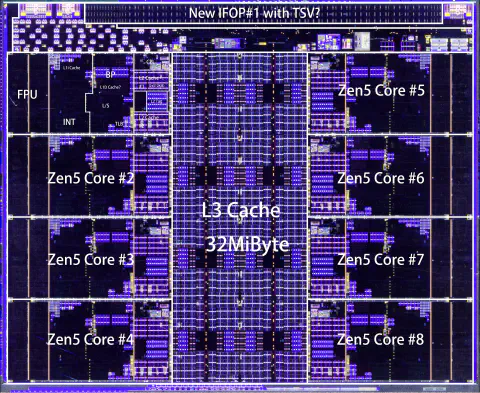 AMD Strix Halo Zen5 CPU-Die